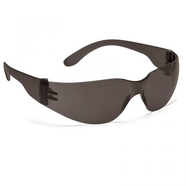 Lunettes de protection "Ecovision / 2"