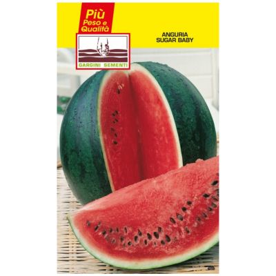 Sachet seeds Watermelon Sugar baby Gargini sementi