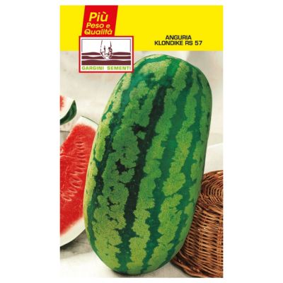 Wassermelone klondike  RS 57 Gargini sementi