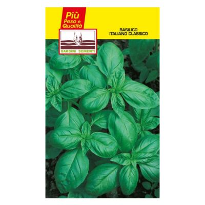 Classical Italian basil Gargini sementi