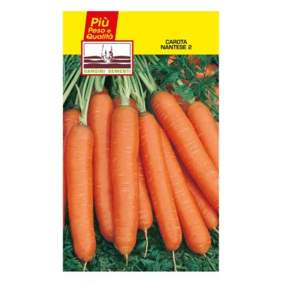 Семена красной моркови