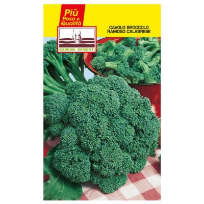 seeds cabbage broccoli Gargini sementi
