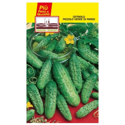 Sachets seeds cucumber small green paris Gargini sementi