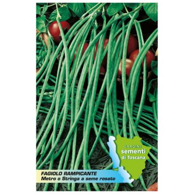 Meter or string climbing bean envelopes Gargini sementi