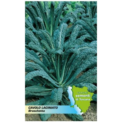 Sachet seeds cabbage lacinato braschetta Gargini sementi