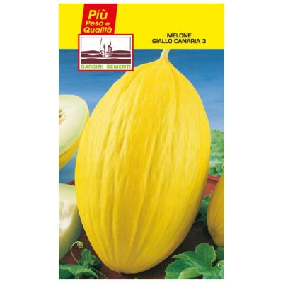 Sachets de semences de melon jaune canarien 3 Gargini sementi